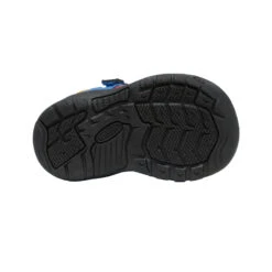 Keen Toddlers' Newport H2SHO | Multi/Bright Cobalt -Fashion Boots Store 0f9ee6253f57862281132f6947140b18015f43b1