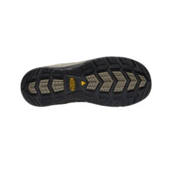 Keen Men's Flint II Waterproof (Steel Toe) | Cascade Brown/Orion Blue -Fashion Boots Store 7e1f122313dadcf4375d2ebf52589ee97f6325a7